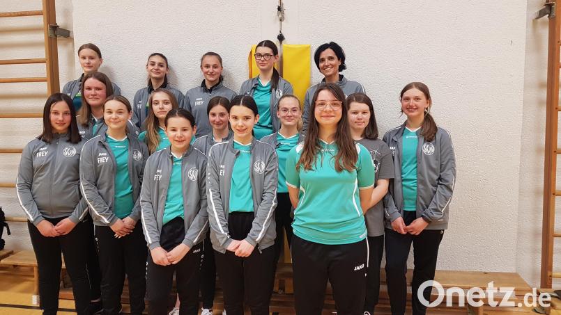 Die Tischtennis-Mädchen des SV Neusorg sind auf der Erfolgsspur (vorne, von links): Elina Ernstberger, Selina Dötterl, Anne Sischka, Hannah Sischka und Viktoria Fenzl sowie (mittlere Reihe, von links) Anna König, Paulina Heindl, Emilia Sperrer, Sarah Hecht, Franziska Hansl und Nele Philipp sowie (hinten, von links) Antonia Schraml, Saskia Sacher, Emilia Schönfelder, Emily Sischka und Christina Stock-Schönfelder. Bild: gsr