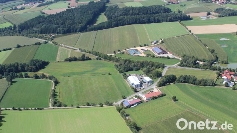 Bei vielen dieser grünen Punkte an den Wegrändern in Dieterskirchen handelt es sich um Obstbäume und Beerensträucher. Sie sind Teil des Obstlehrpfads, der heuer 25 Jahre alt wird. Auch am südlichen Ortsrand (Bild) säumen viele alte Sorten die Wege. Archivbild: akp