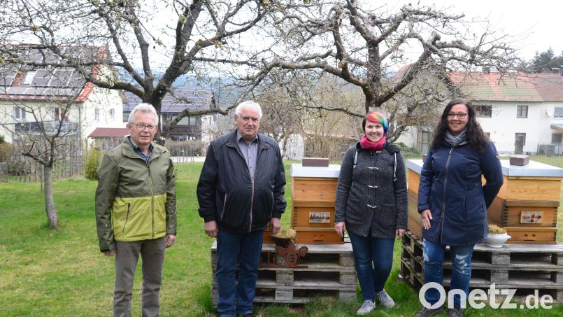 Mit der Wahl von Max Müllhofer zum Vorsitzenden, Reinhold Janker zum Stellvertreter, Maria Herrmann zur Schriftführerin und Elisabeth Herrmann zur Kassiererin (von links) ist der Fortbestand des Imkervereines Pleystein gewährleistet. Bild: bey