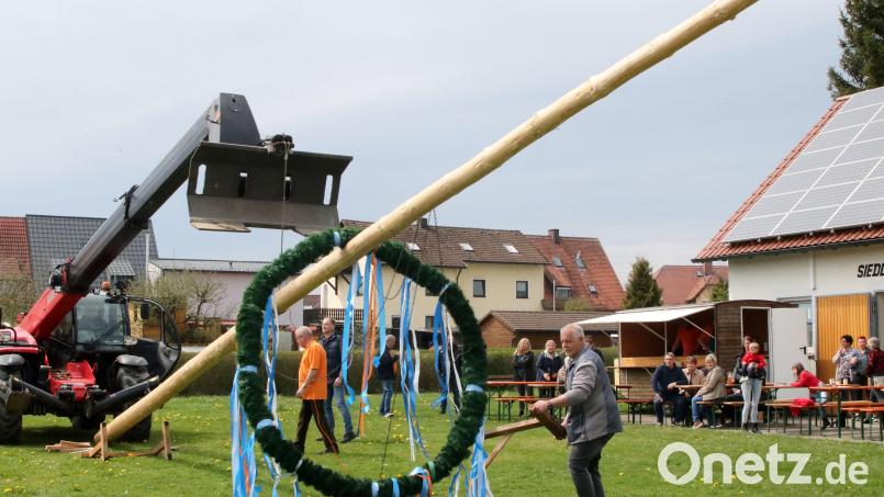 Pünktlich um 14 Uhr hievte der Kalmreuther Fuhrunternehmer Max Krichenbauer mit seinem Kran den 18 Metern hohen und geschmückten Maibaum unter tatkräftiger Unterstützung der Siedler in die Höhe. Es dauerte nur wenige Minuten, bis der von der Marktgemeinde Floß spendierte Baum unter dem Applaus der Anwesenden in die Verankerung rutschte und justiert wurde. Bild: lst/exb