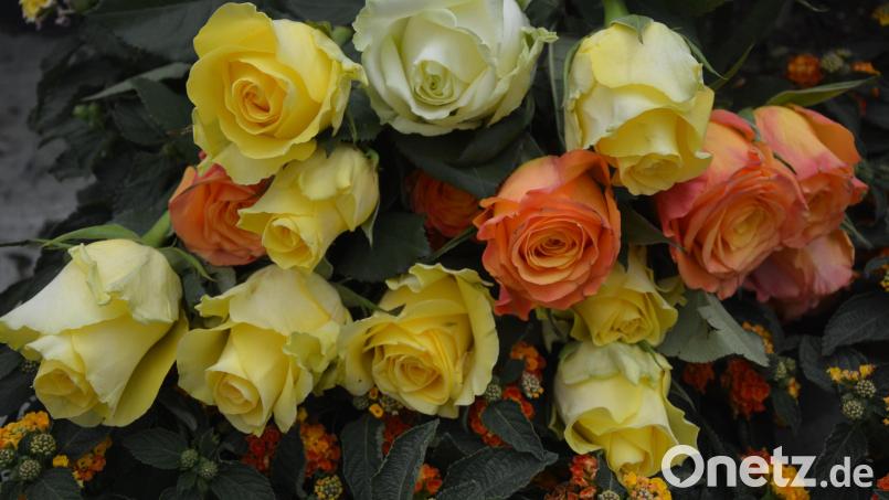 1600 Rosen in verschiedenen Farben verteilt der Gewerbeförderverein Mitterteich am Freitag und Samstag, 6. und 7. Mai, in 33 Geschäften. Bild: jr