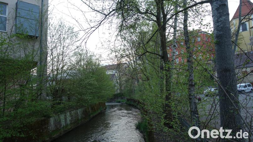 Die Floß soll kurz vor ihrer Mündung in Neustadt mehr Platz bekommen, um den Hochwasserschutz für die Stadt sowie die Ökologie und den Erlebniswert des Gewässers zu verbessern. Eine Schlüsselstelle ist der Bogen zwischen Nachtmann und dem Parkplatz in der Fröschau. Bild: ui