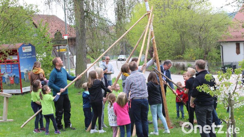 Beim OGV Altfalter-Schwarzach wurde ein Maibaum aufgestellt. Bild: Martina Fischer/exb
