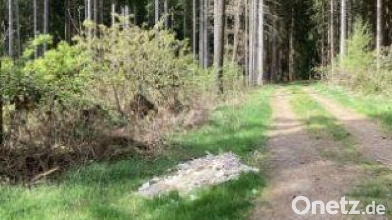 In einem Waldstück bei Waldthurn haben Unbekannte unbefugterweise Bauschutt abgeladen. Bild: Polizei Vohenstrauß/exb