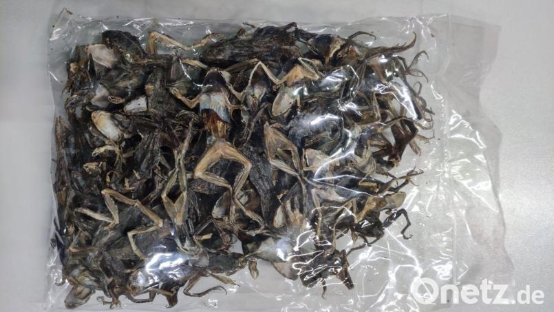 100 Gramm getrocknete Frösche liegen in einem Plastikbeutel, der in München am Flughafen gefunden wurde. Bild: Hauptzollamt München/dpa
