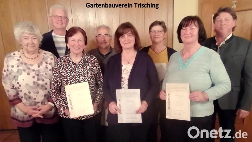 Bürgermeister und Vorsitzender ehrten langjährige Mitglieder. Im Bild 
(vorne von links) Marianne Deichl, Maria Meier, Karoline Bauer, Martha Reimer 
sowie (hinten von links) zweiter Vorsitzender Richard Hirmer, Richard Huml, Helga Delling und Zweiter Bürgermeister Andreas Altmann. Bild: Richard Hirmer/exb