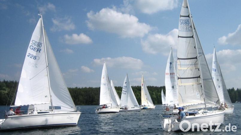 Die Tourismusregion "Oberpfälzer Wald" wirbt mit ihrer "Wald- und Wasserwelt" und gibt sich ein neues Markenbild. Bild: Hirsch