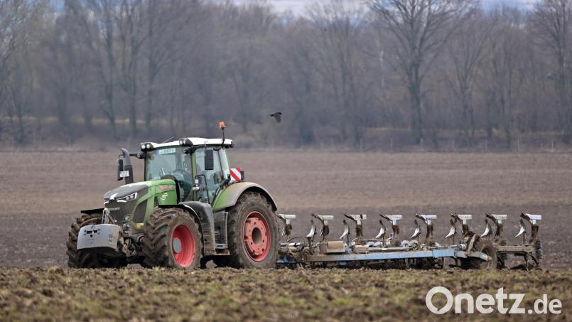 Über die Stilllegung von Anbauflächen diskutieren Vertreter des Bauernverbands mit Landtagspolitikern. Symbolbild: Martin Schutt/dpa
