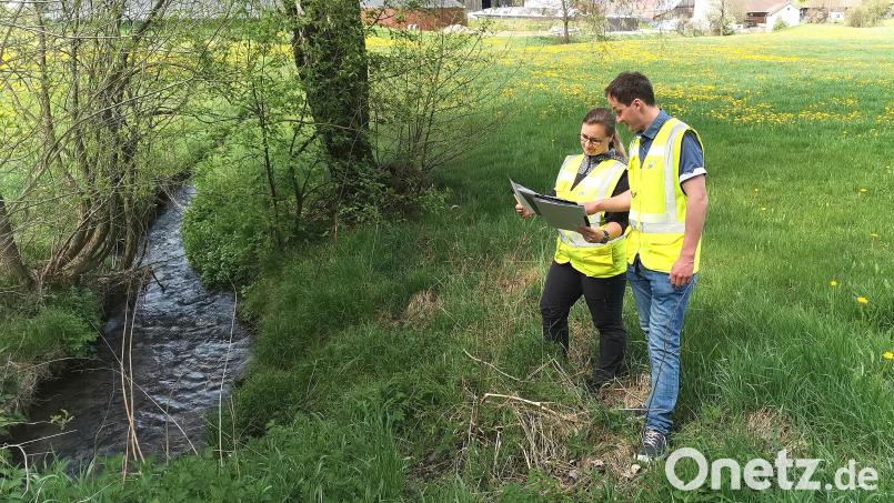 Maria König und Stefan Weig vom Wasserwirtschaftsamt Weiden vergleichen den Verlauf des Pointbaches bei Muschenried mit ihren Unterlagen. Bild: Portner