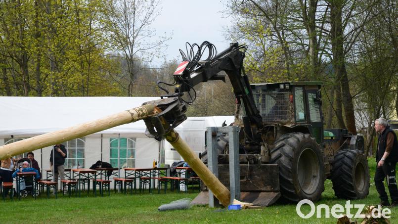 Der Pleysteiner Maibaum ist gebrochen. Bild: bey
