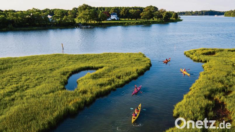 Die Gewässer in Virginia Beach lassen sich auf einer Kajaktour erkunden. Bild:  Virginia Beach CVB/dpa