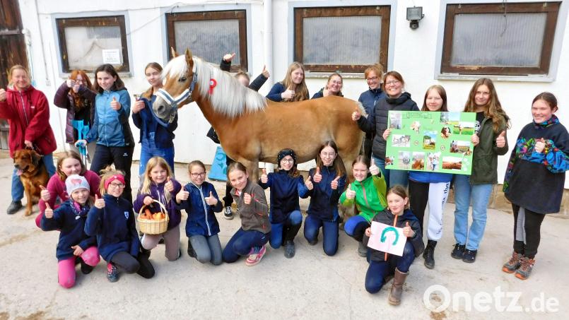 Nach zweijähriger coronabedingter Pause freuen sich die Kinder, Jugendlichen und Verantwortlichen des Reitclubs am Kulm, wieder zum Sternritt auf den Barbaraberg bei Speinshart einladen zu können. Bild: hai
