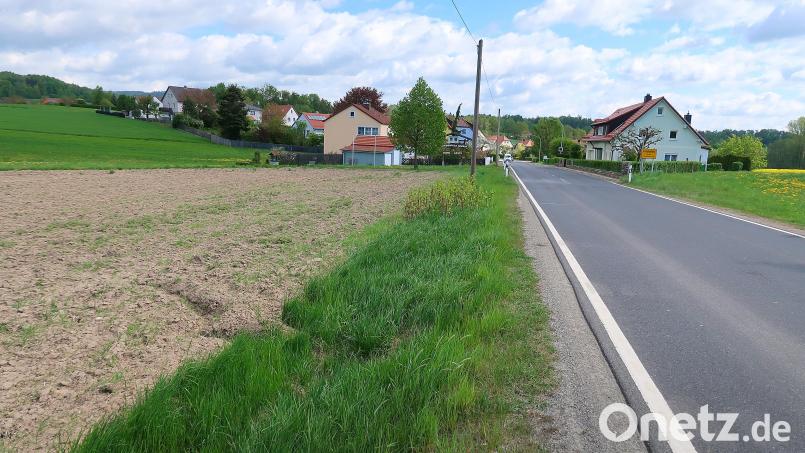 Das gemeindeeigene brachliegende Grundstück an der Ortseinfahrt aus Richtung Thumsenreuth (links im Bild) soll einem Ökokonto zugeführt werden. Bürgermeister Oskar Schuster konnte sich hier eine prachtvolle Blumenwiese mit Obstbäumen vorstellen. Auch weitere Flächen, die im Besitz der Gemeinde Friedenfels sind, werden für diesen Zweck geprüft. Bild: bsc