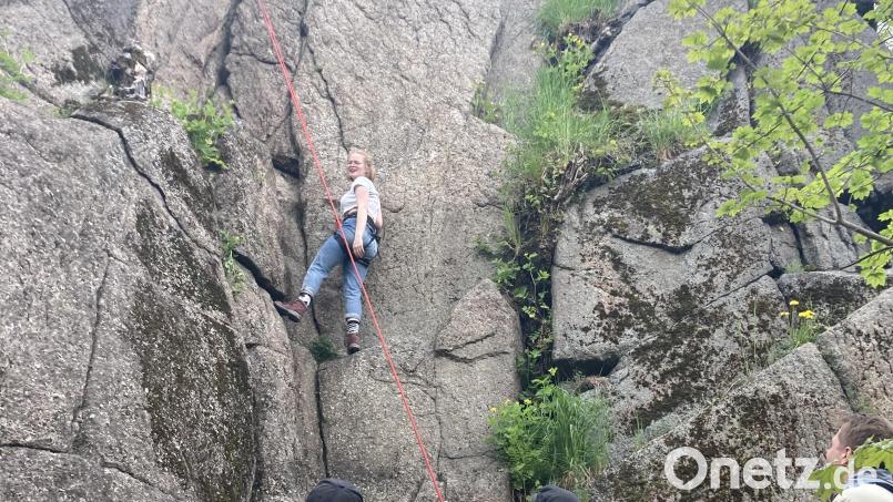 Die Pfadfinder Neuhaus sind der Gastgeber beim Georgslauf der Stämme des Burgenbezirks. Bild: Lucia Windschiegl/exb