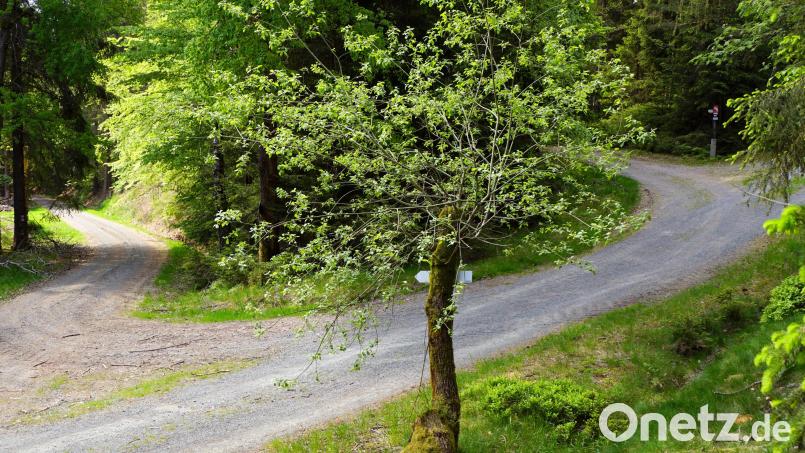 Bei den Bauabschnitten 2 und 3 ist die Zufahrt nach Poppenberg und Herzogshut über Forstwege vorgesehen. Für größere Fahrzeuge stellt diese Spitzkehre ein Hindernis dar und muss ausgeweitet werden. Stellvertretender Forstbetriebsleiter Martin Hertel vom Forstbetrieb Fichtelberg hat nach einer Ortsbegehung am Freitag betont, dass man eine Lösung gefunden habe, die auch den weiteren Weg Richtung Poppenberg betrifft Bild: bkr