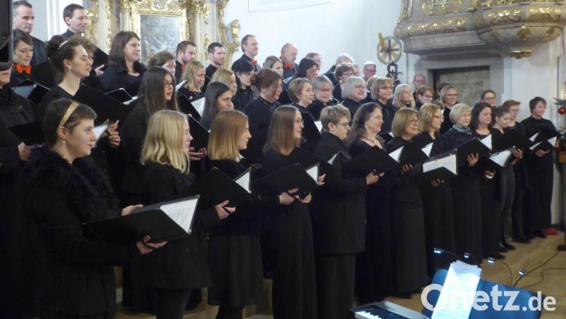 Der Weidener Kammerchor erhebt seine Stimme für den guten Zweck. Am 3. Juni gibt er auf Initiative des Inner-Wheel-Clubs ein Benefizkonzert in Neustadt/WN. Bild: fsb/Archiv