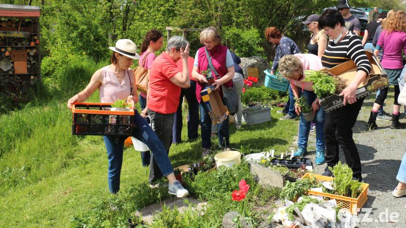 Reges Treiben herrschte auf dem Gelände des OGV bei der Pflanzentauschbörse. So mancher konnte Gemüsepflanzen für den eigenen Garten ergattern oder sich eine lang gesuchte Zierpflanze &quot;ertauschen&quot;. Bild: rpp