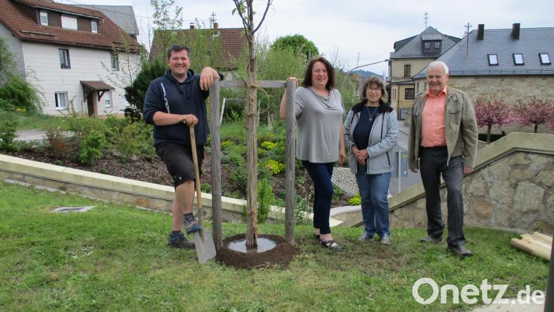 Rene Dietrich (von links), Christina Kastner, Renate Weber und Bürgermeister Günter Kopp freuen sich über den neuen Baum an der Daddy-Anlage. Bild: Gemeinde Kulmain/exb
