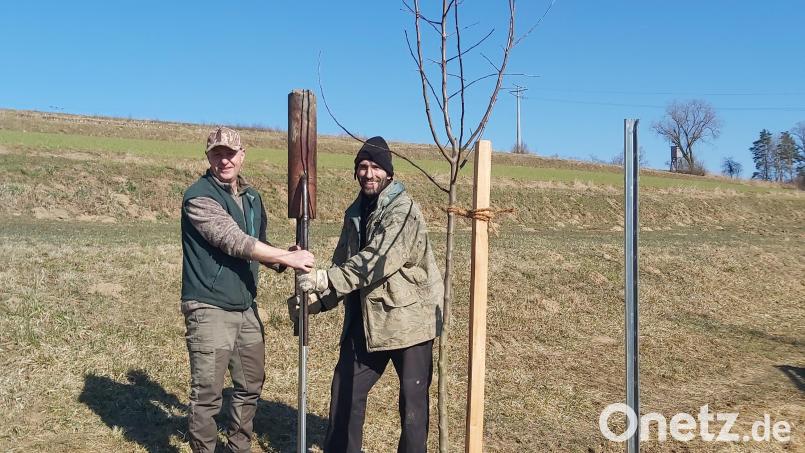 Georg Karl (rechts) und Markus Stopfer pflanzten in der Apfelbacher Flur zirka 30 Obstbäume. Bild: rn