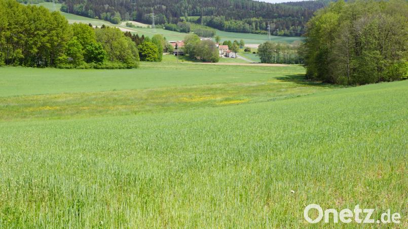 Ziel des Bauplans zur Geländeauffüllung ist es, die sich Richtung Döberein neigende Senke aufzufüllen. Darin enthalten ist auch das Erlenbruchwäldchen auf der rechten Bildseite. Der untere Waldsaum markiert dabei die Grundstücksgrenze. Der Landwirtschaft soll damit geholfen werden. Bild: bkr