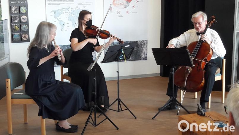 Das Trio mit Viola Schweinfurter, Stefanie Heinrich und Michael Gareis (von links) spielte ein Benefizkonzert im GEO-Zentrum an der KTB. Bild: Frank Holzförster/exb
