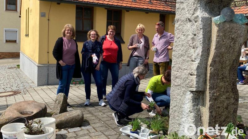 Pflanzenbörse Bild: Anita Graßl/exb