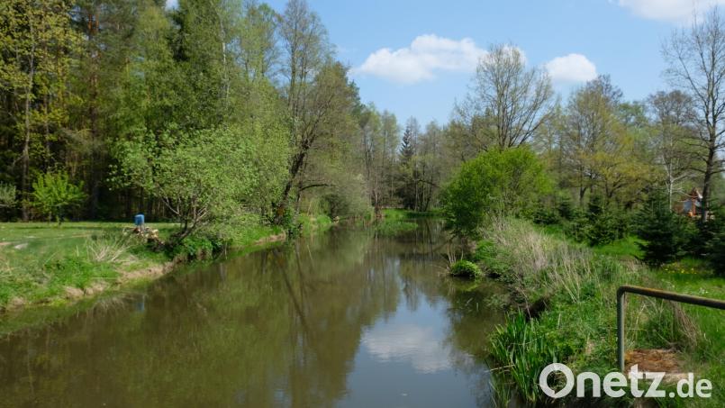 Für Wolfgang Witt ist das Wasser der Haidenaab existenzsichernd. Doch die aktuellen Pläne der Bundesregierung zur Änderung des Erneuerbare-Energien-Gesetzes sieht der Kleinkraftwerksbesitzer in Josephsthal bei Gmünd als ein „Worst-Case-Szenario“ speziell für kleine Anlagen, denen in den nächsten Jahren das "Aus" drohe. Bild: do