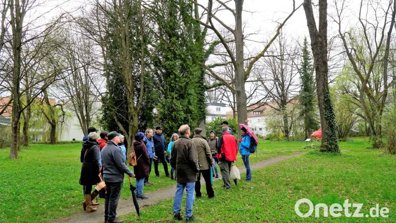 Die Führung führte auch durch den Falkenstein-Park. Bild: stg