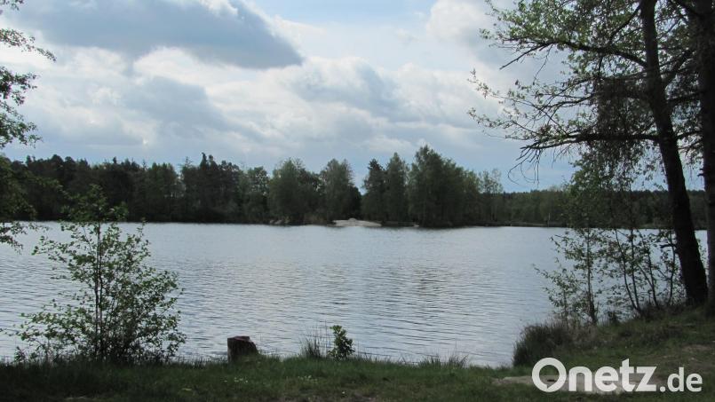 Die Wasserqualität im Manteler Baggerweiher ist einwandfrei. Bei der Probenentnahme belief sich die Wassertemperatur auf 14 Grad und die Sichttiefe auf 1,40 Meter, wie Bürgermeister Richard Kammerer in der Mai-Sitzung des Marktgemeinderats informiert. Bild: sei