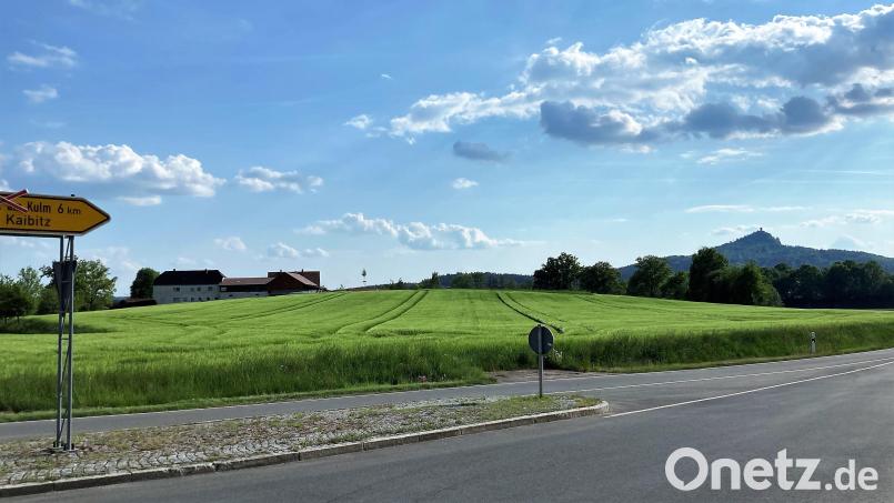 Noch grünt alles recht grün, bald soll hier bei Senkendorf ein Gewerbegebiet entstehen. Bild: stg