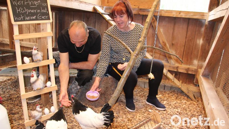 Andrea und Klaus Zeitler fühlen sich wohl bei ihren Hühnern. Die Tafel mit dem Spruch &quot;Wer Angst vor Hühner hat, hat keine Eier&quot; bekamen sie geschenkt. Bild: kro