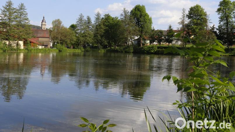 Ein Kernbereich der Landesgartenschau soll die Weiherreihe mit dem Großen Stadtweiher sein. Hier sind unter anderem eine Seebühne, Schauflächen und Info-Pavillons geplant. Bild: mfh