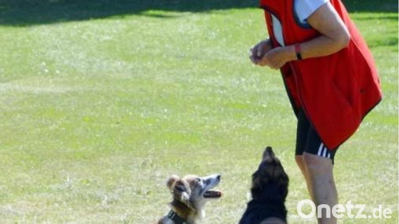 Die Hundebesitzer waren mit ihren Tieren gekommen. Bild: Sonja Zühlke/exb