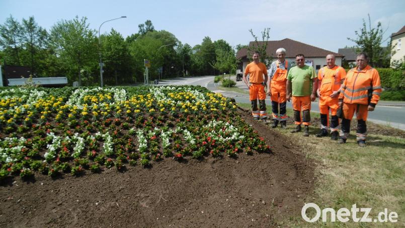 Zu Hahnbacher Jubiläum &quot;900samma&quot; gibt der Kreisverkehr an der Vilsbrücke mit all den Blumen ein einladendes Bild. Auf ihre Arbeit stolz dürfen (von links) Joachim Zintl, Josef Wismeth, Robert Herrmann, Johannes Gebert und Ulli Pamler sein. Bild: mma