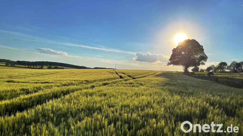 So richtig Sommer wird es noch nicht. Es kühlt erstmal wieder ab, der Mai bleibt durchwachsen. Archivbild: Alexander Unger