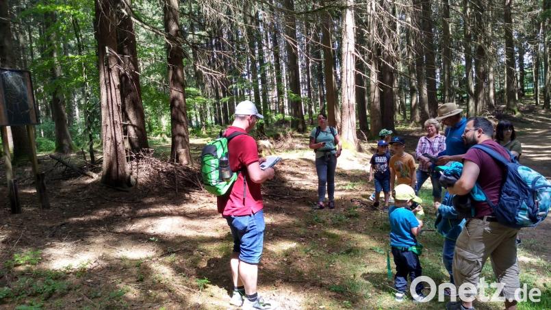 Die Naturfreunde Sulzbach-Rosenberg hatten eine Wanderung auf dem Traumpfad organisiert. Bild: Naturfreunde/exb