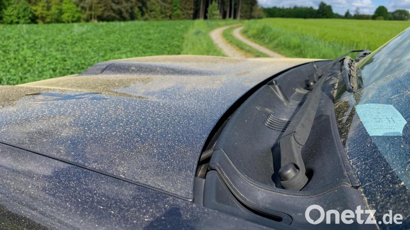 Die gelben Pollen der Fichte sind aktuell auf vielen Oberpfälzer Autos zu sehen. Bild: Gabi Schönberger