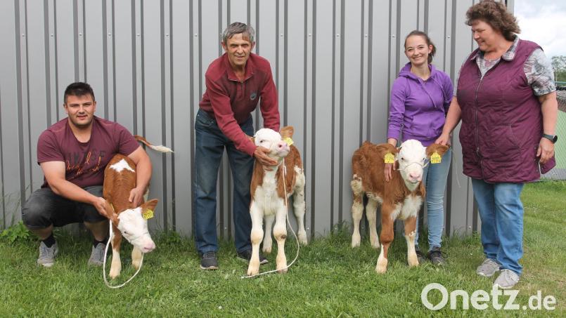 Markus Lukas (links) freut sich mit Partnerin Sonja sowie seinen Eltern Rosa und Theo über die Drillingskälber. Bild: pi