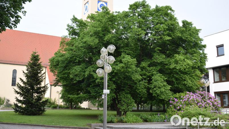 Auf der Grünfläche zwischen Rathaus und Marienkirche soll ein neuer Spielplatz entstehen.Der Bauausschuss gab dafür grünes Licht. Bild: bnr