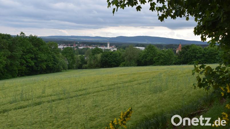 Die Erschließung des Baugebietes "Am Köblitzbach" in Oberköblitz wird mit Hochdruck voran getrieben. Bild: bnr