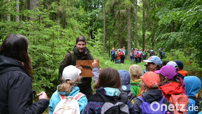 Kinder der Grundschule Plößberg haben einen Feuersalamander im Wald entdeckt und erzählen Martin Kimich vom Forstamt Kemnath, was sie schon über dieses Tier wissen. Bild: pjeb