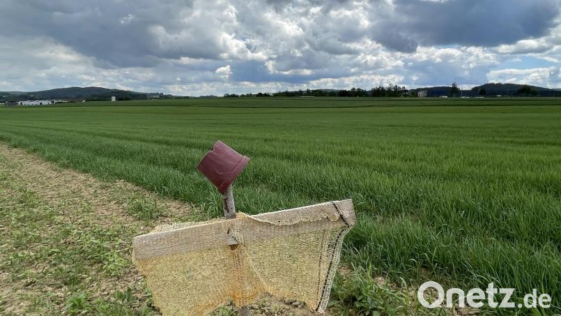Angrenzend an das Waldershofer Gewerbegebiet „Nördlich der Bahnlinie Nürnberg-Eger“ (oben links) und gegenüber von Scherdel-Logistik (oben rechts) soll das Gewerbegebiet entstehen. Bild: Matthias Bäumler/fph