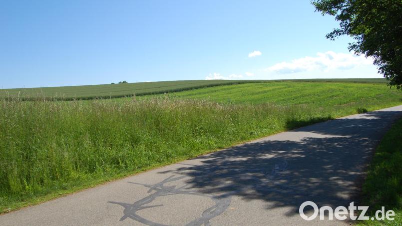 Hier entstehen in Kirchendemenreuth zehn Bauplätze. Sie müssen spätestens fünf Jahre nach Kauf bebaut werden. Bild: sm