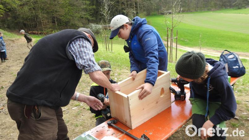 Mit Feuereifer halfen die Kinder aus der LBV-Naturkindergruppe beim Bau der Wiedehopfkästen. Bild: Paul Baumann/exb