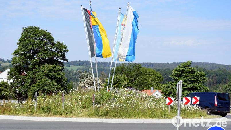 Die Wildblumen auf dem Kreisel in Neustadt/WN. Bild: Gabi Schönberger