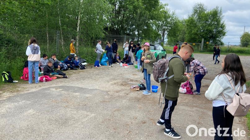 Alle waren fleißig dabei, beim Rama Dama der Luitpold-Mittelschule. Bild: Tanja Fahrnholz/exb