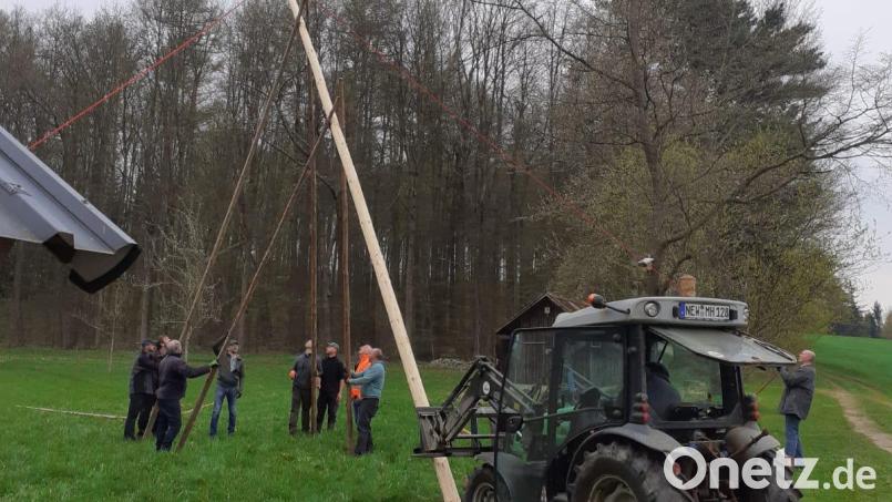 Mit Schwalben und einem Traktor stellten die Imker den Maibaum auf. Bild: gz