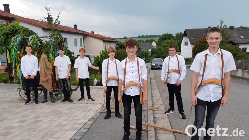Der Lintacher Pfingstlümmelwagen mit den beteiligten jungen Burschen (von links) Christian Breßling, der unbekannte Pfingstlümmel, Maximilian Birner, Christian Scharl, Andreas Forster, Phillip Breitschaft, Konrad Knorr und Samuel Koller. Bild: jow
