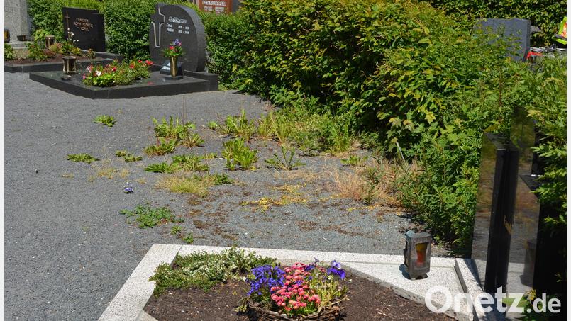Unkraut wächst auf dem Pechbrunner Friedhof entlang der Wege und auf Flächen aufgelassener Gräber. Dies soll bald der Vergangenheit angehören, wünscht sich der Gemeinderat. Bild: jr
