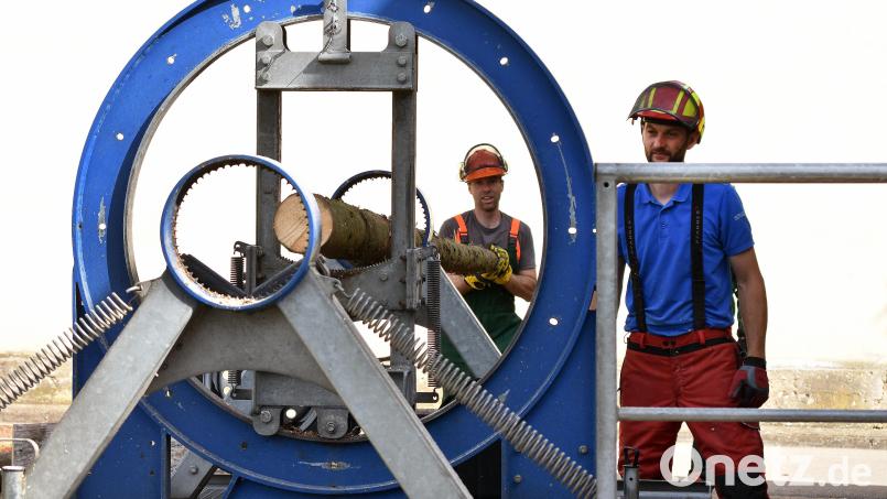 Der Spannungssimulator des Walderlebniszentrums Erlangen: Zwischen zwei Ringen wird ein Baumstamm fixiert, ein dritte Ring dazwischen bringt ihn mit Hilfe von Hydraulik auf Spannung – die macht Baumfällen gefährlich. Bild: Stephan Huber